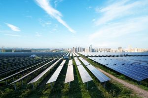 panneaux solaires